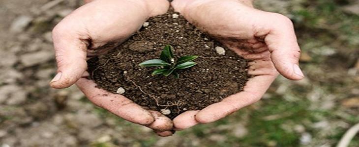 اولویت‌های ۲۲ گانه محیط زیست برای حفاظت از خاک