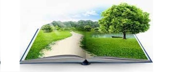 خانه های محیط زیست در کتابخانه های عمومی منتخب سراسر استان همدان افتتاح می شود